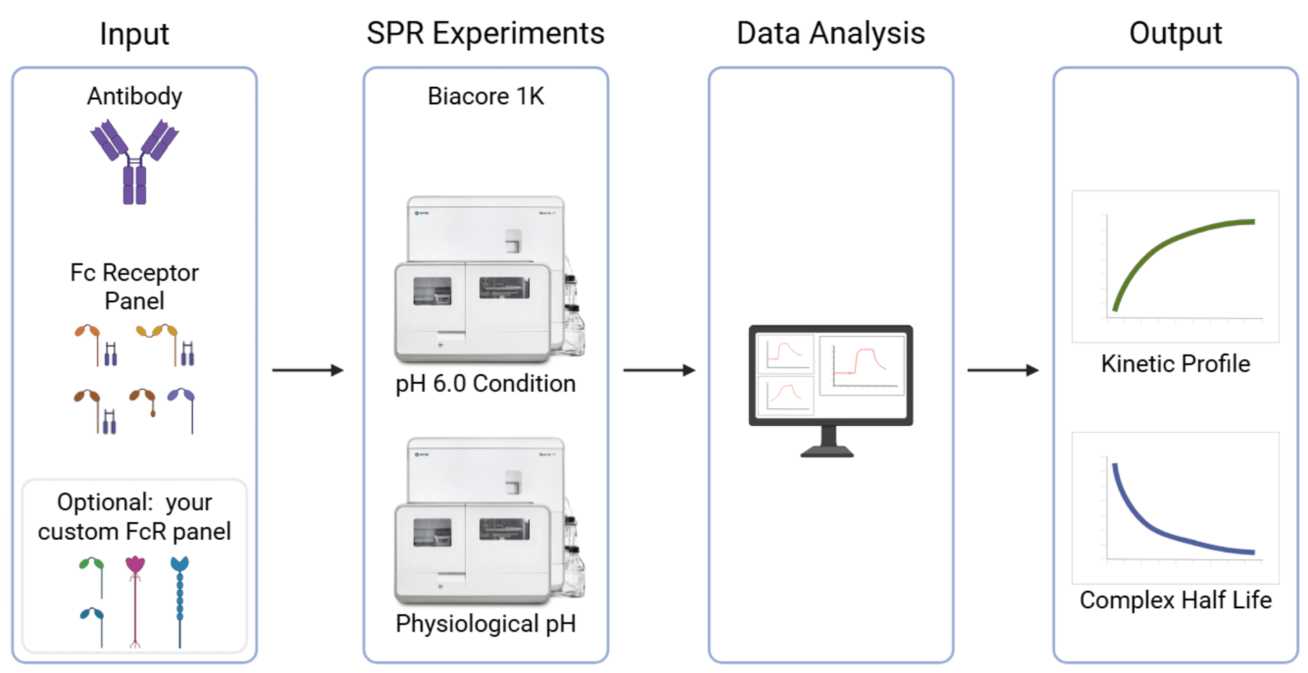 fc-receptor-analysis-workflow